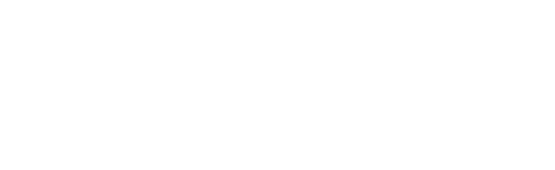 BarraShopping 45 anos
